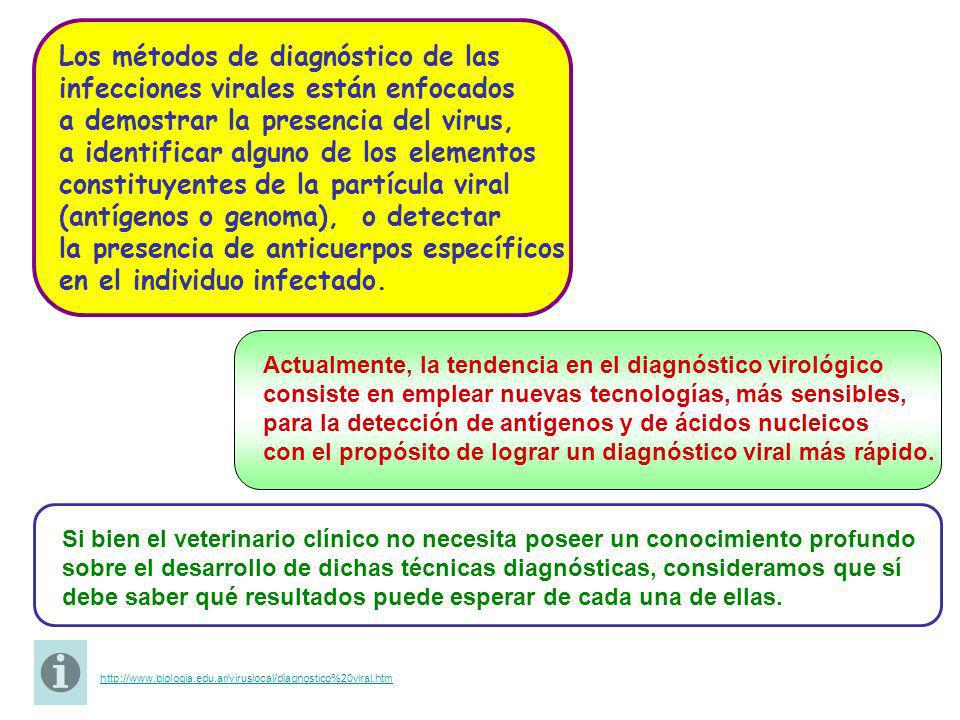 Los métodos de diagnóstico de las infecciones virales están enfocados