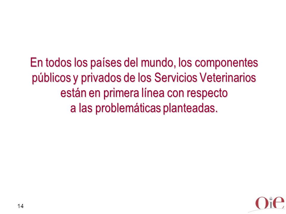 En todos los países del mundo, los componentes públicos y privados de los Servicios Veterinarios están en primera línea con respecto a las problemáticas planteadas.