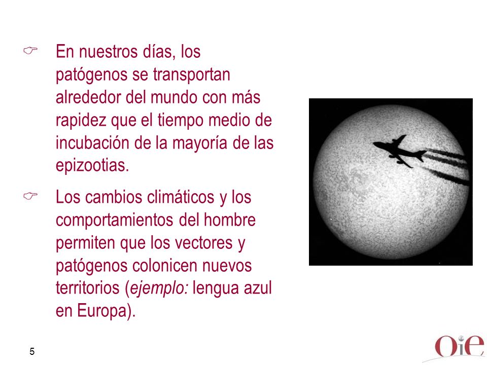 En nuestros días, los patógenos se transportan alrededor del mundo con más rapidez que el tiempo medio de incubación de la mayoría de las epizootias.
