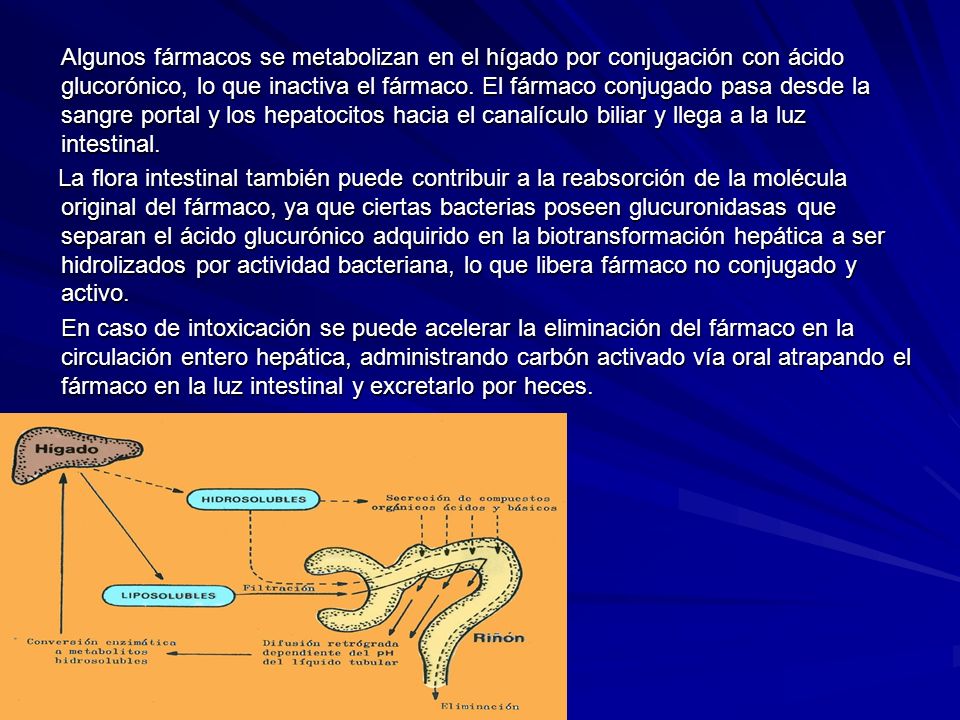 Algunos fármacos se metabolizan en el hígado por conjugación con ácido glucorónico, lo que inactiva el fármaco. El fármaco conjugado pasa desde la sangre portal y los hepatocitos hacia el canalículo biliar y llega a la luz intestinal.