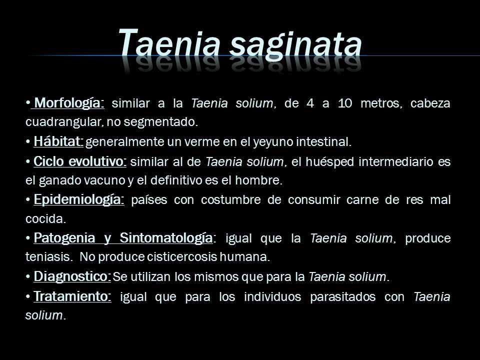 Taenia saginata Morfología: similar a la Taenia solium, de 4 a 10 metros, cabeza cuadrangular, no segmentado.