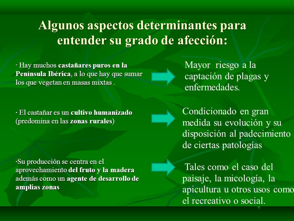 Algunos aspectos determinantes para entender su grado de afección: