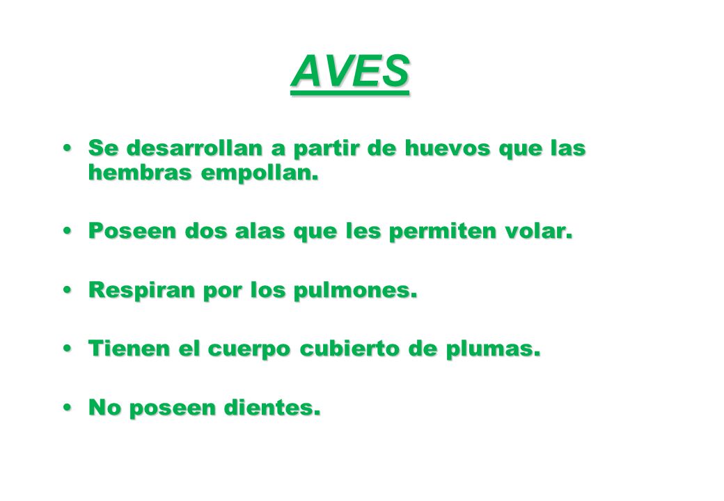 AVES Se desarrollan a partir de huevos que las hembras empollan.