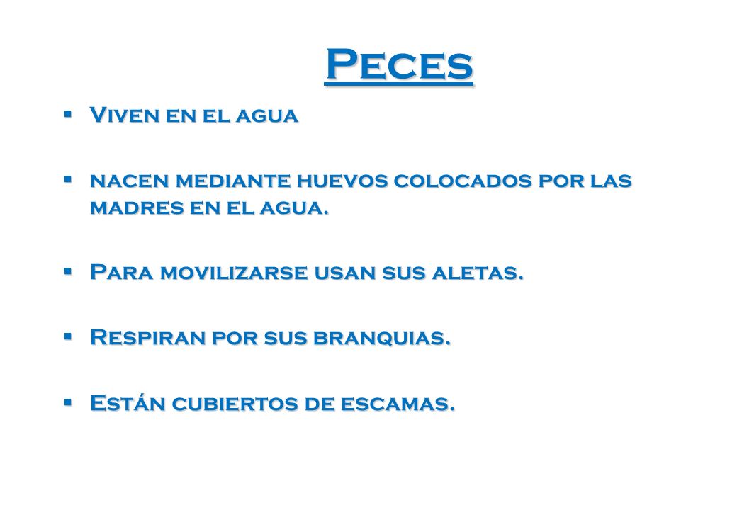 Peces Viven en el agua. nacen mediante huevos colocados por las madres en el agua. Para movilizarse usan sus aletas.