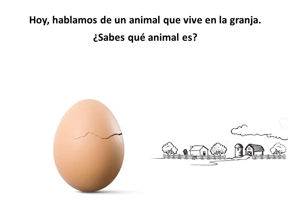 Hoy, hablamos de un animal que vive en la granja. ¿Sabes qué animal es