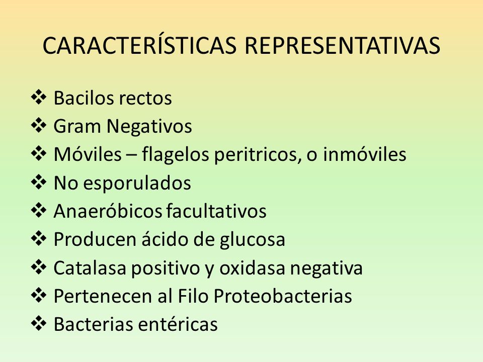 CARACTERÍSTICAS REPRESENTATIVAS