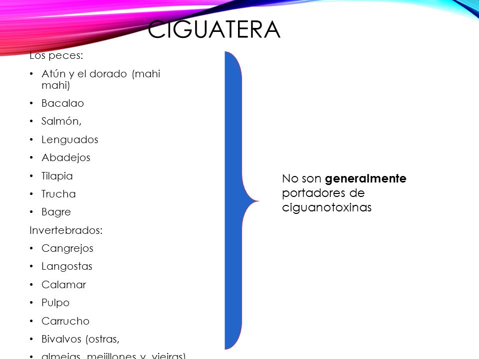 Ciguatera No son generalmente portadores de ciguanotoxinas Los peces: