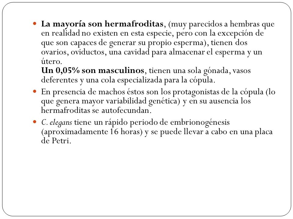 La mayoría son hermafroditas, (muy parecidos a hembras que en realidad no existen en esta especie, pero con la excepción de que son capaces de generar su propio esperma), tienen dos ovarios, oviductos, una cavidad para almacenar el esperma y un útero. Un 0,05% son masculinos, tienen una sola gónada, vasos deferentes y una cola especializada para la cópula.
