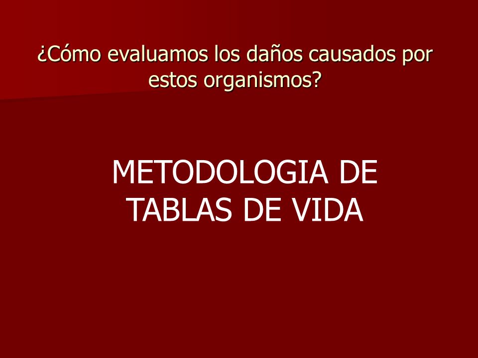 ¿Cómo evaluamos los daños causados por estos organismos