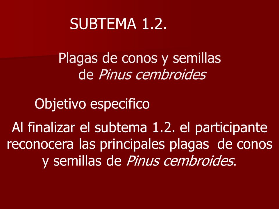 SUBTEMA 1.2. Plagas de conos y semillas de Pinus cembroides