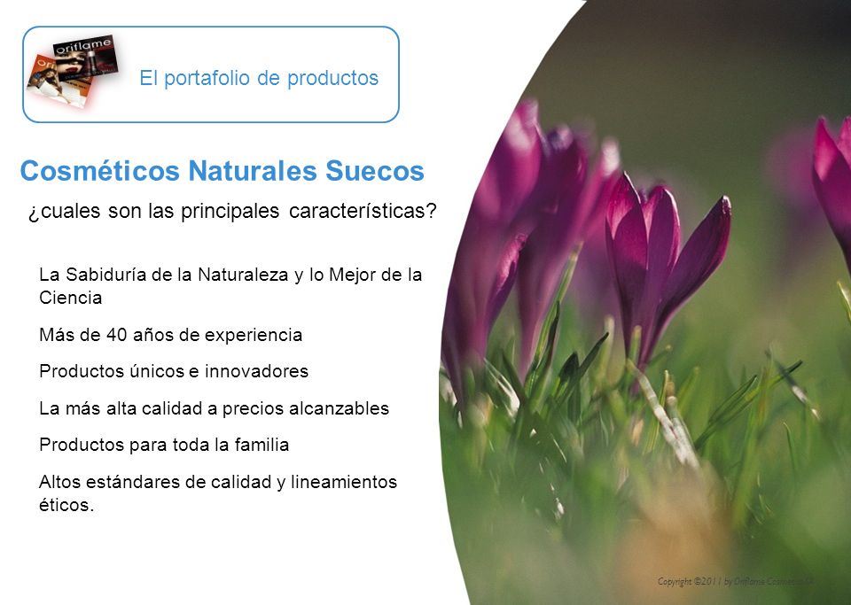 1. EL PORTAFOLIO DE PRODUCTOS ORIFLAME