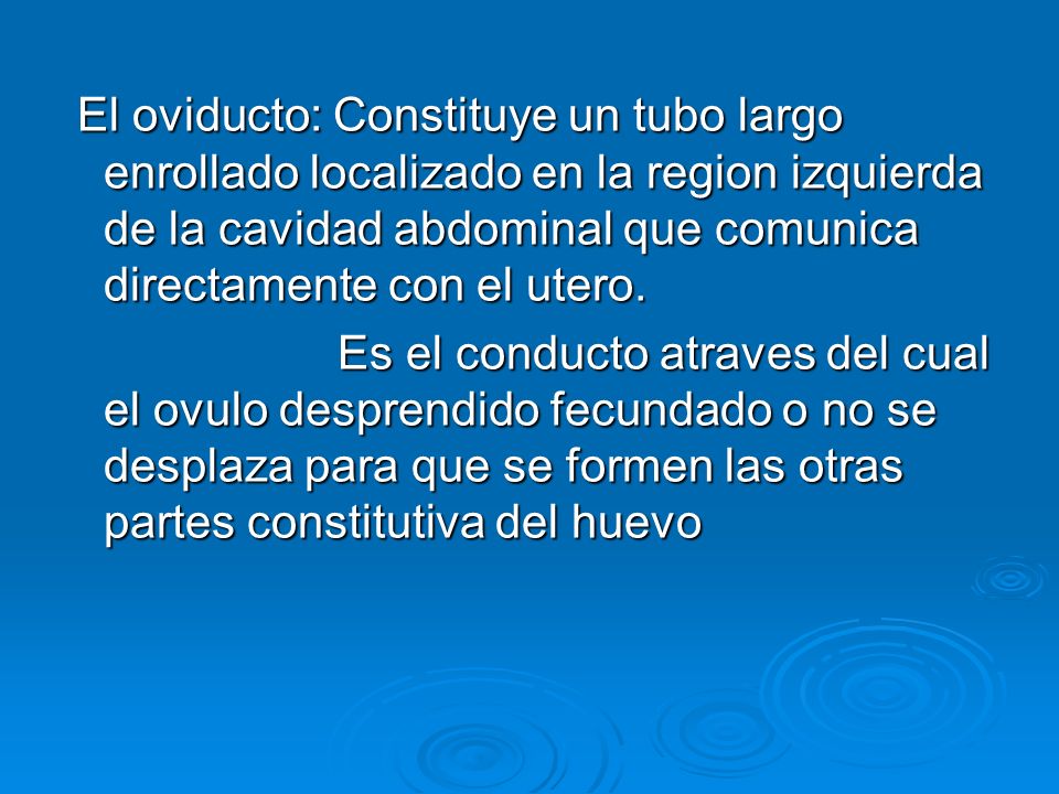 El oviducto: Constituye un tubo largo enrollado localizado en la region izquierda de la cavidad abdominal que comunica directamente con el utero.