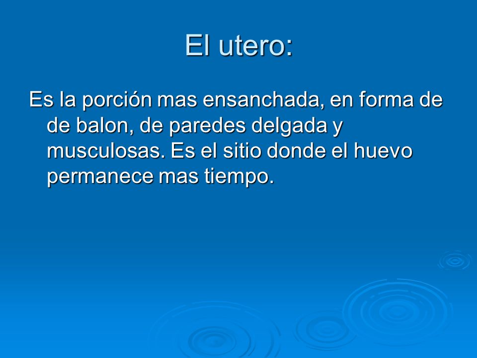 El utero: Es la porción mas ensanchada, en forma de de balon, de paredes delgada y musculosas.
