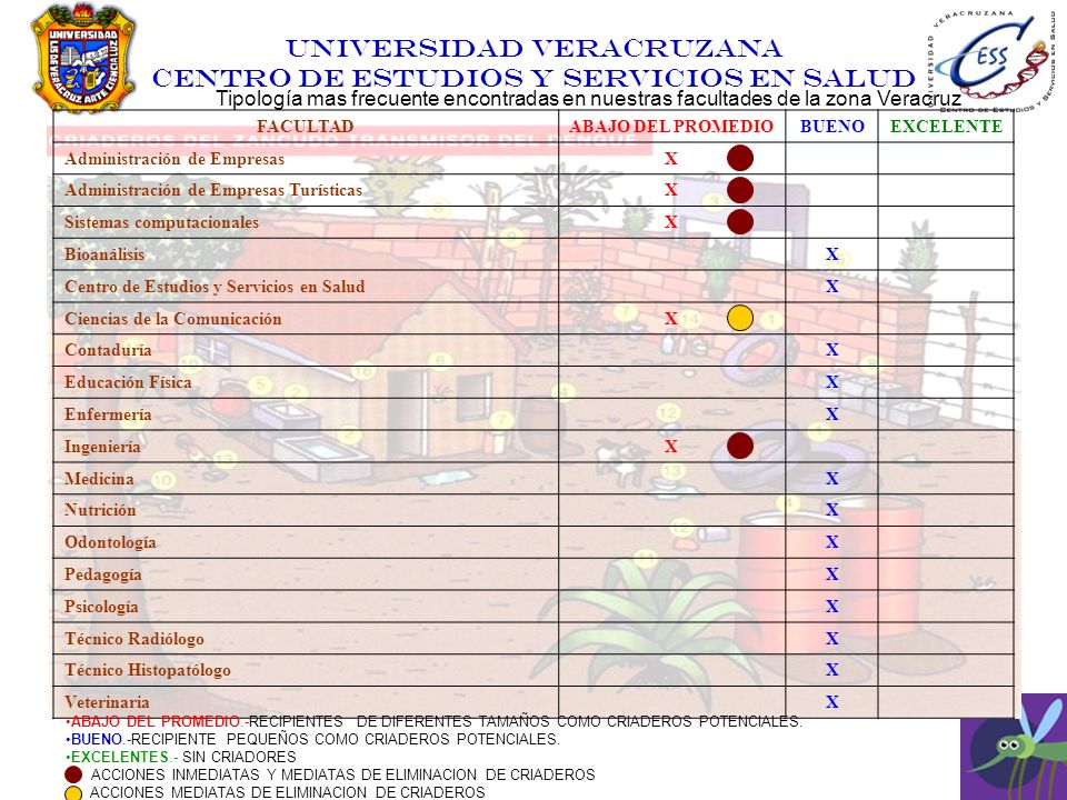 Tipología mas frecuente encontradas en nuestras facultades de la zona Veracruz