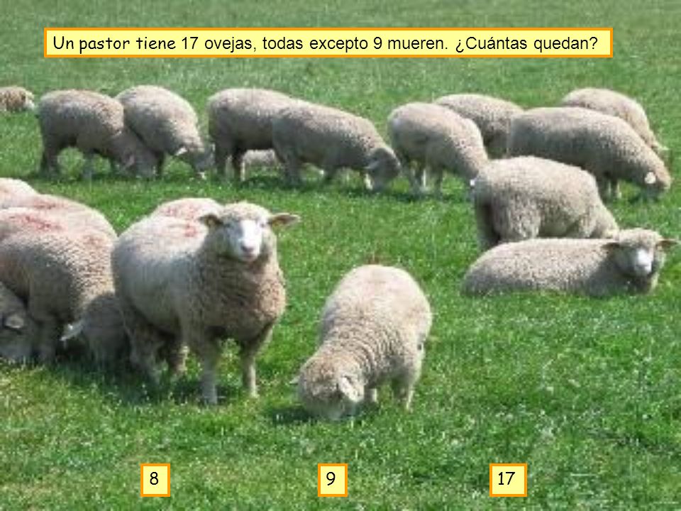 Un pastor tiene 17 ovejas, todas excepto 9 mueren. ¿Cuántas quedan