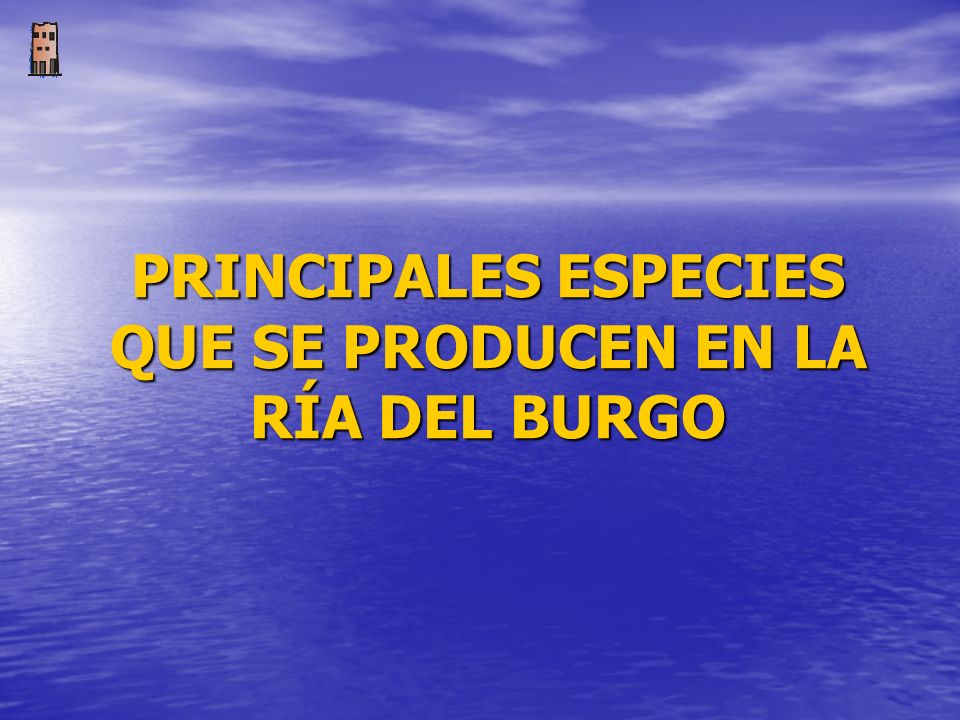 PRINCIPALES ESPECIES QUE SE PRODUCEN EN LA RÍA DEL BURGO