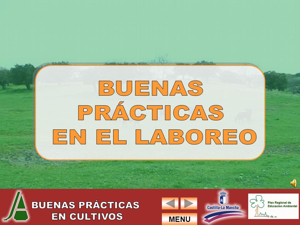 BUENAS PRÁCTICAS EN EL LABOREO