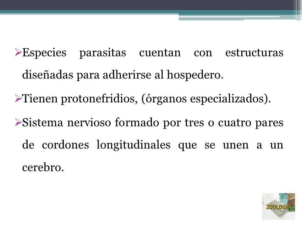 Especies parasitas cuentan con estructuras diseñadas para adherirse al hospedero.