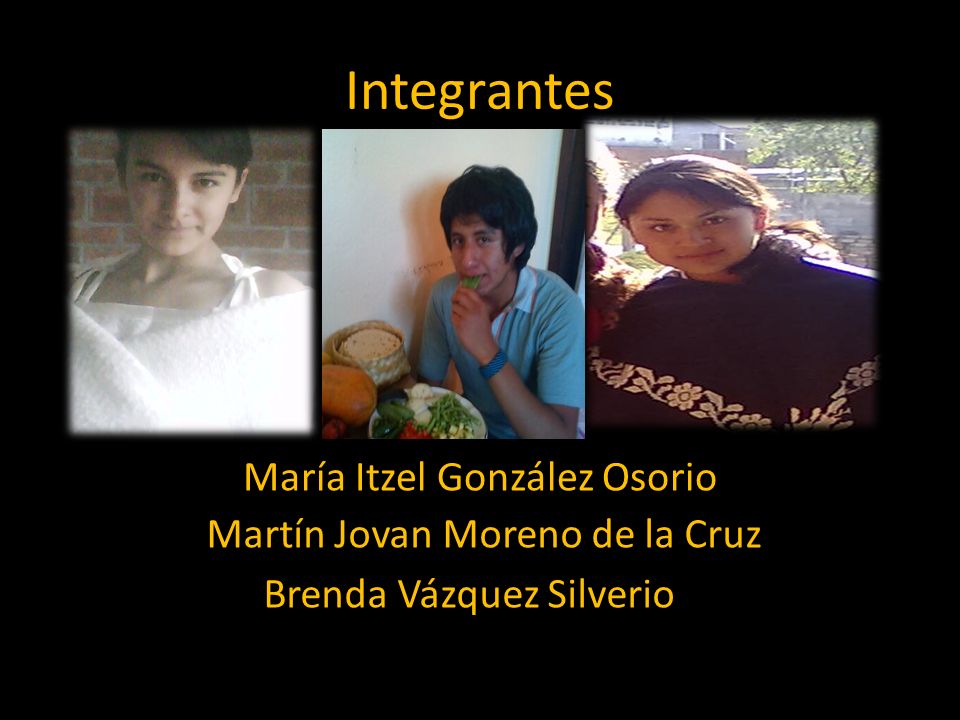 Integrantes María Itzel González Osorio Martín Jovan Moreno de la Cruz