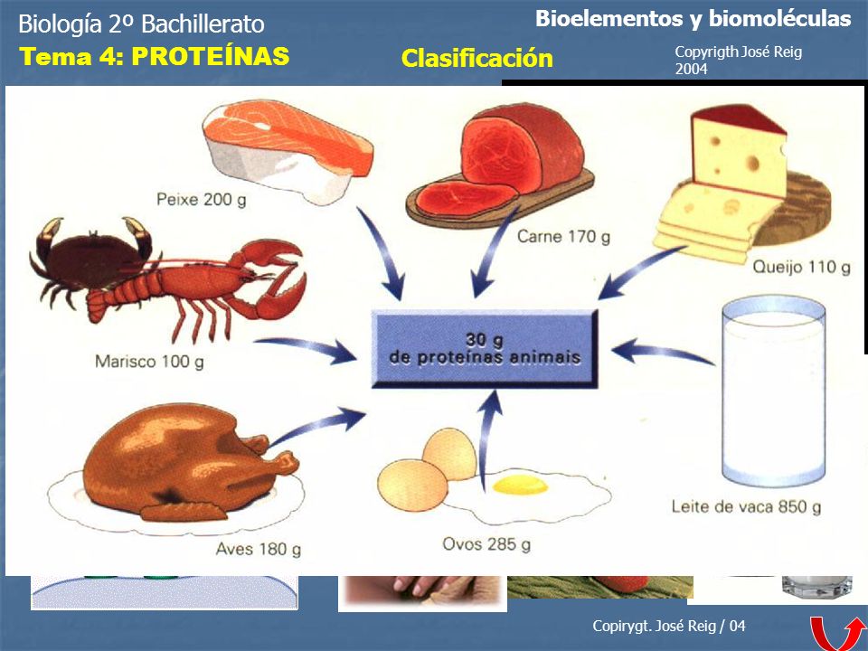 Biología 2º Bachillerato Tema 4: PROTEÍNAS Clasificación