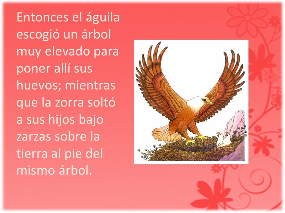 Entonces el águila escogió un árbol muy elevado para poner allí sus huevos; mientras que la zorra soltó a sus hijos bajo zarzas sobre la tierra al pie del mismo árbol.