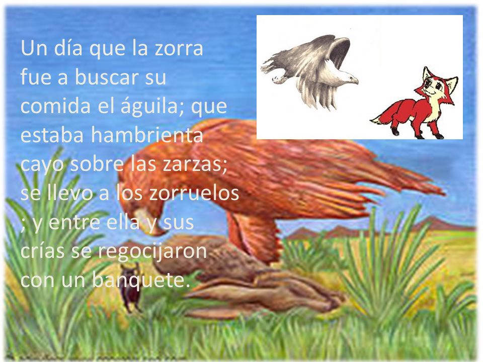 Un día que la zorra fue a buscar su comida el águila; que estaba hambrienta cayo sobre las zarzas; se llevo a los zorruelos ; y entre ella y sus crías se regocijaron con un banquete.
