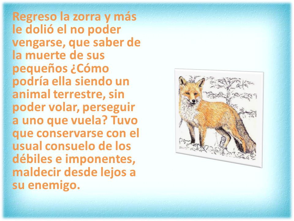 Regreso la zorra y más le dolió el no poder vengarse, que saber de la muerte de sus pequeños ¿Cómo podría ella siendo un animal terrestre, sin poder volar, perseguir a uno que vuela.