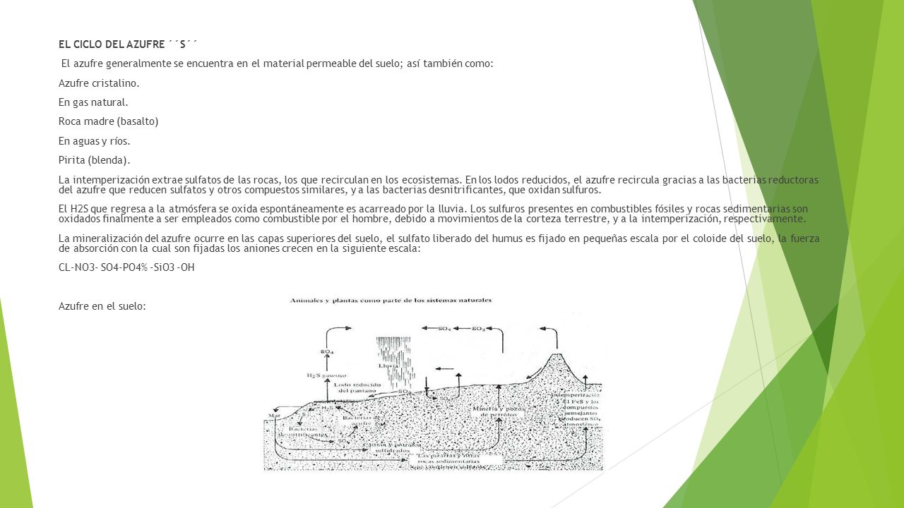 EL CICLO DEL AZUFRE ´´S´´ El azufre generalmente se encuentra en el material permeable del suelo; así también como: Azufre cristalino.