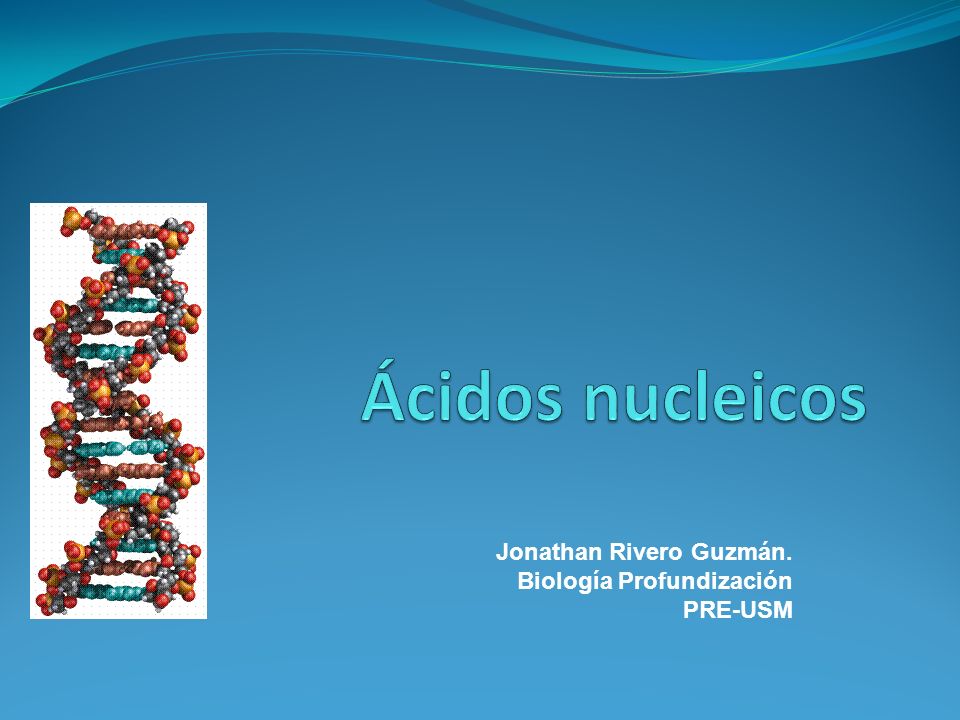 Ácidos nucleicos Jonathan Rivero Guzmán. Biología Profundización