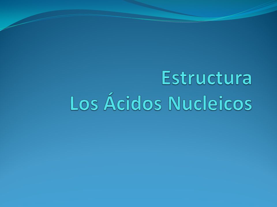 Estructura Los Ácidos Nucleicos