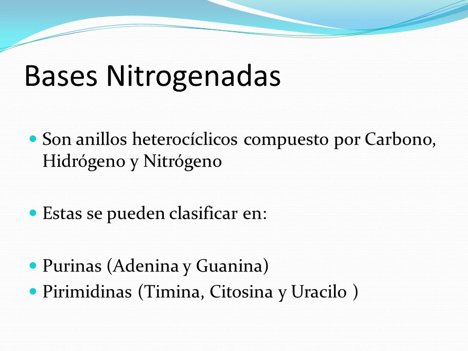 Bases Nitrogenadas Son anillos heterocíclicos compuesto por Carbono, Hidrógeno y Nitrógeno. Estas se pueden clasificar en: