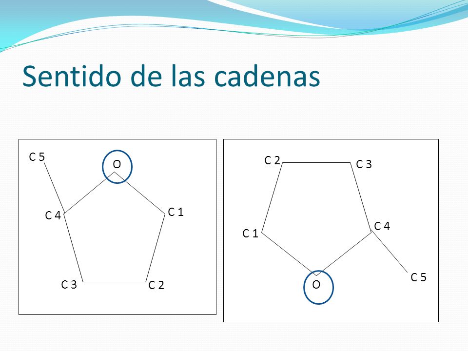 Sentido de las cadenas C 5 C 4 O C 3 C 2 C 1 C 5 O C 4 C 3 C 2 C 1