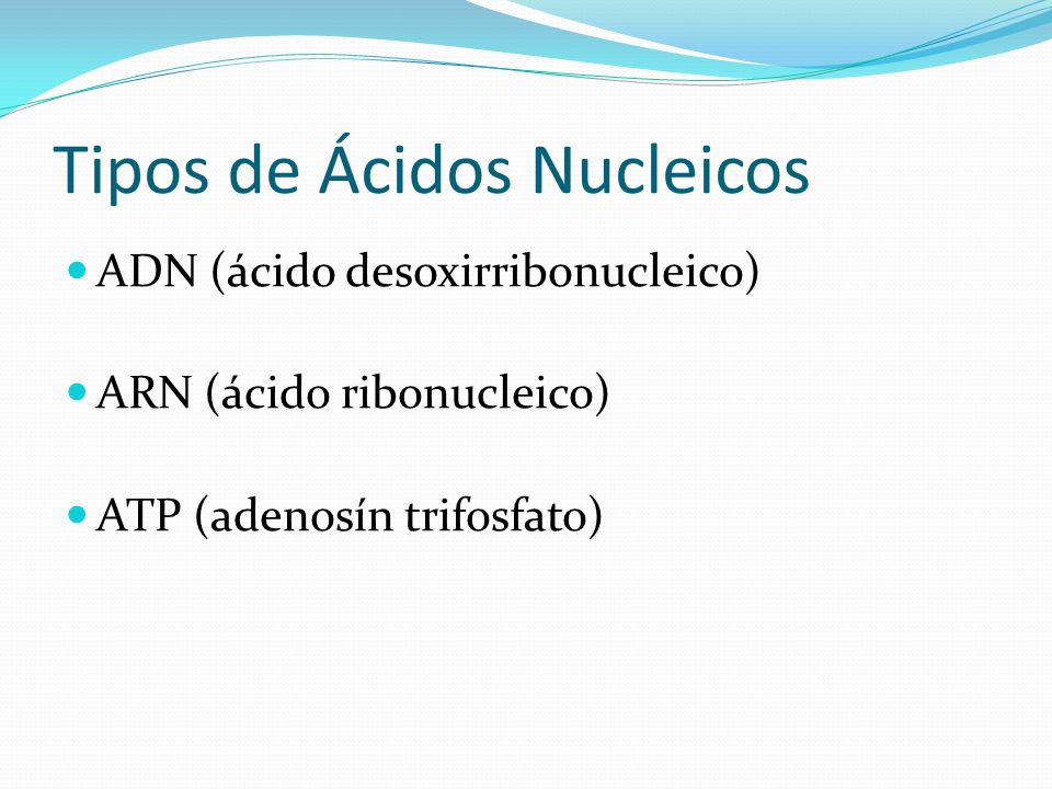 Tipos de Ácidos Nucleicos