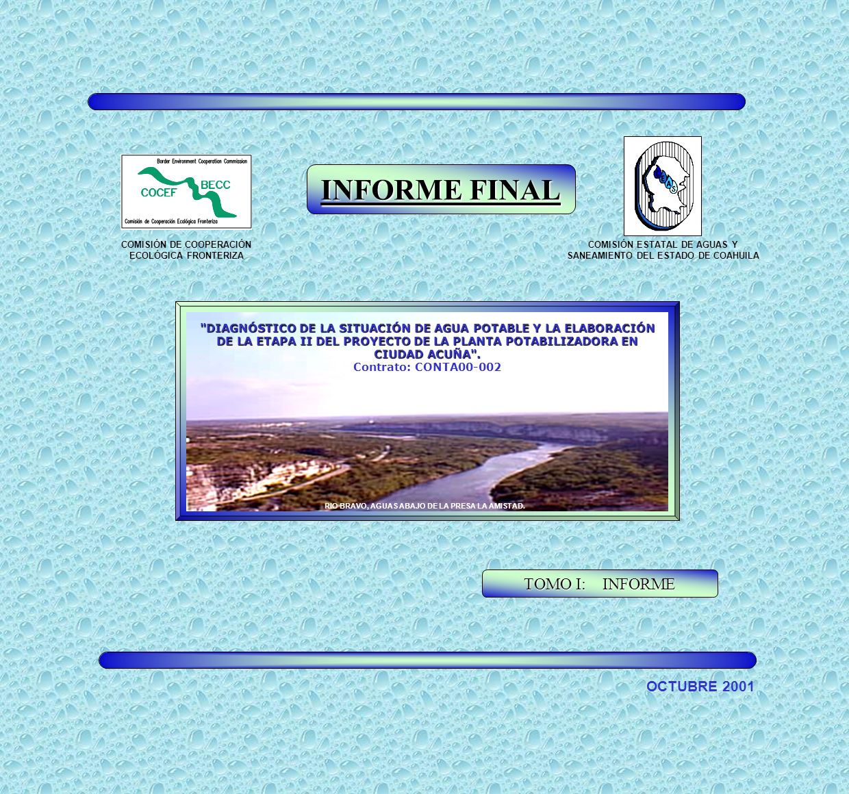 INFORME FINAL TOMO I: INFORME OCTUBRE 2001