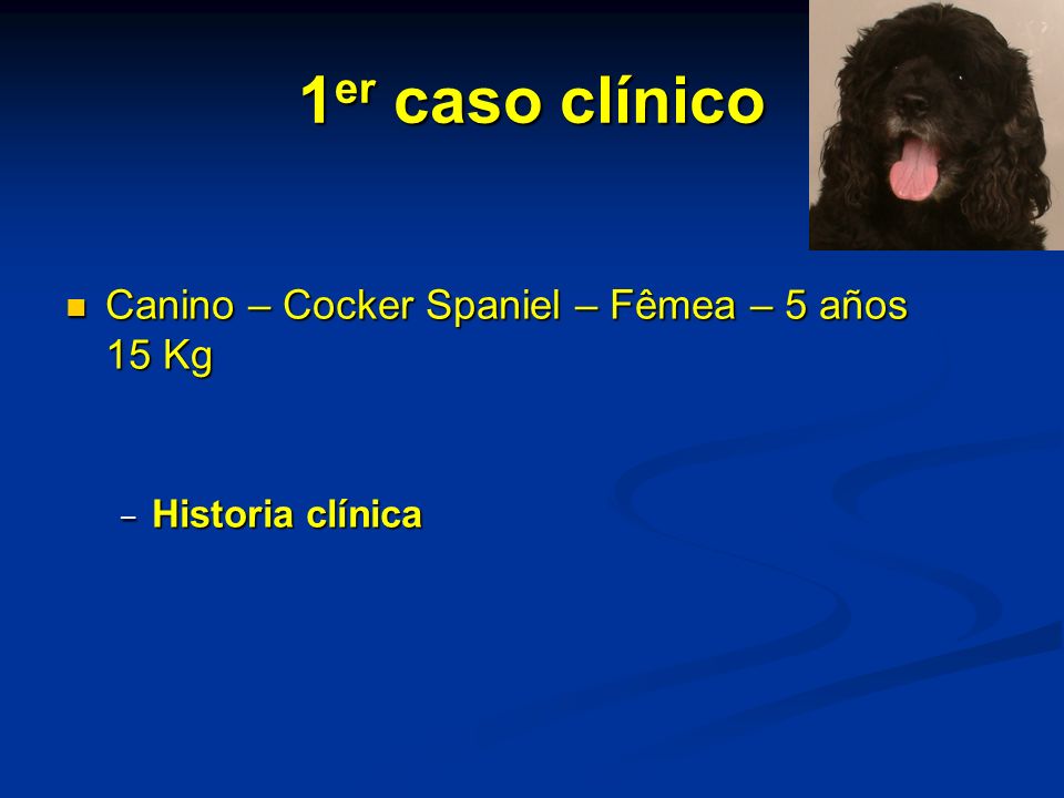 1er caso clínico Canino – Cocker Spaniel – Fêmea – 5 años 15 Kg