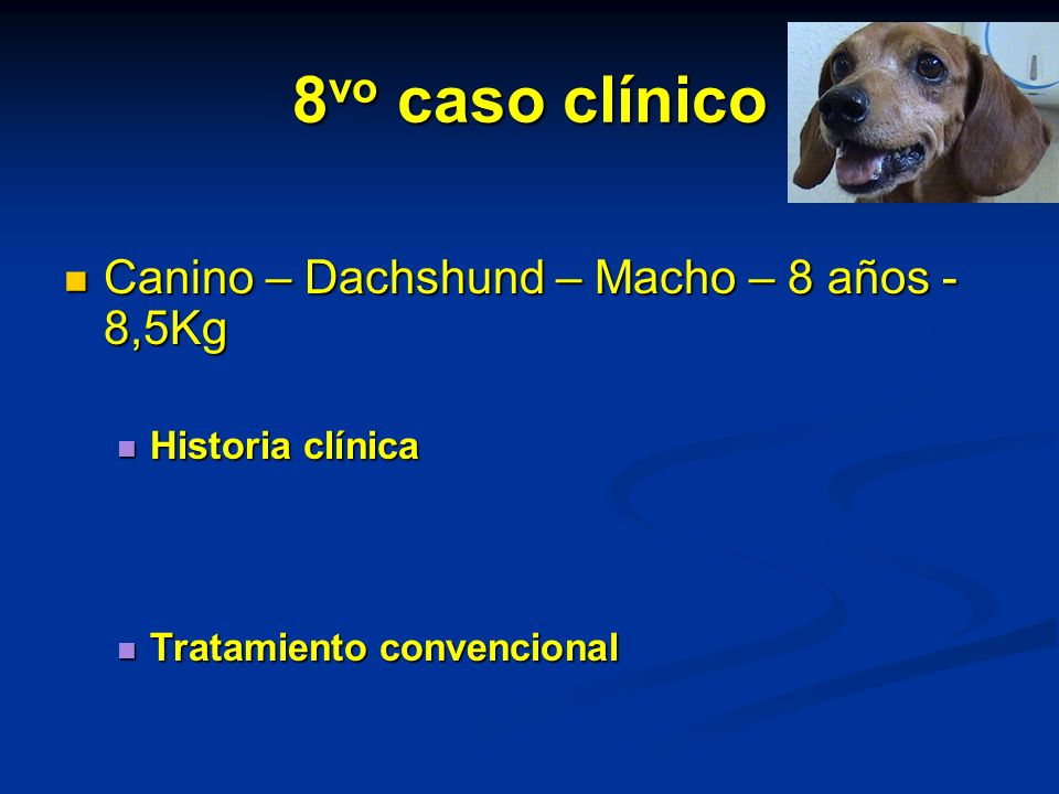 8vo caso clínico Canino – Dachshund – Macho – 8 años - 8,5Kg