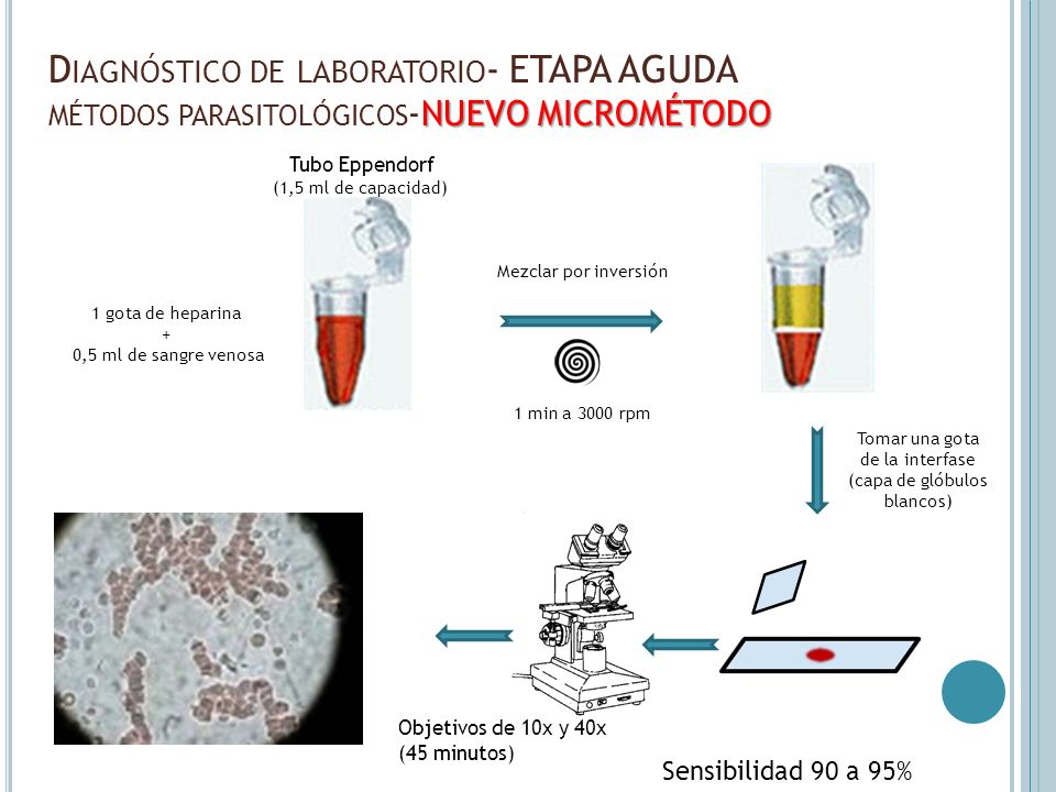 Diagnóstico de laboratorio- ETAPA AGUDA métodos parasitológicos-NUEVO MICROMÉTODO