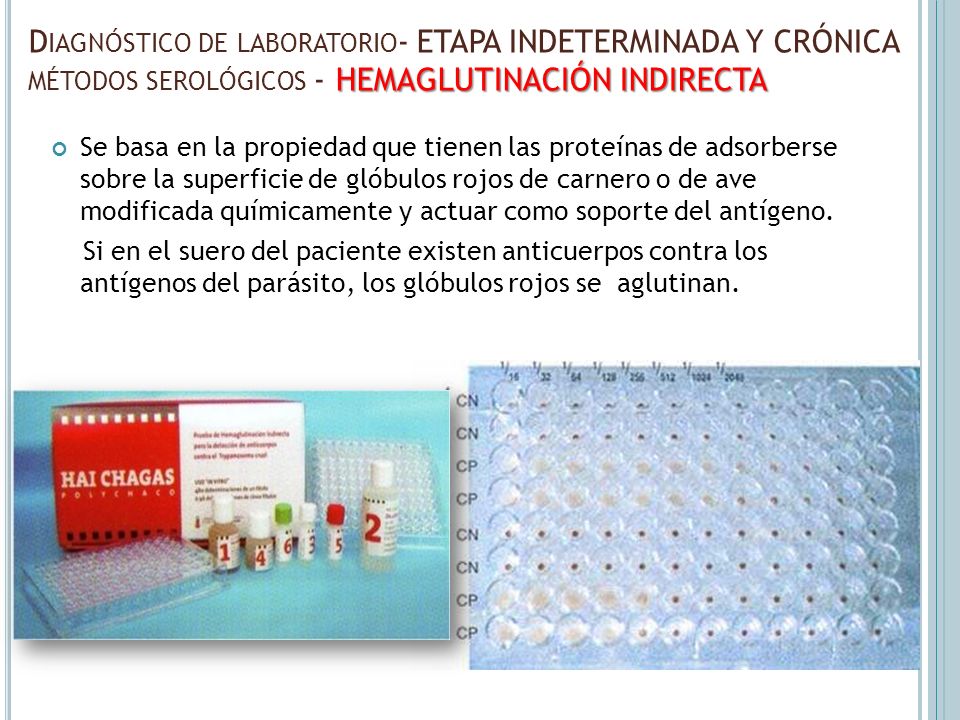 Diagnóstico de laboratorio- ETAPA INDETERMINADA Y CRÓNICA métodos serológicos - HEMAGLUTINACIÓN INDIRECTA