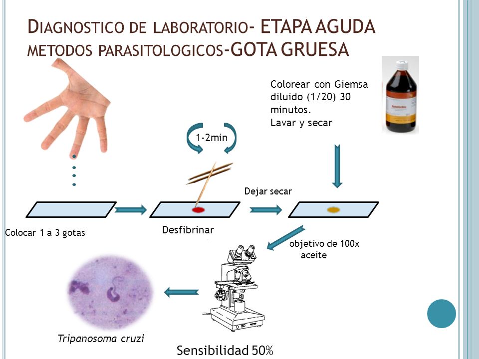 Diagnostico de laboratorio- ETAPA AGUDA metodos parasitologicos-GOTA GRUESA