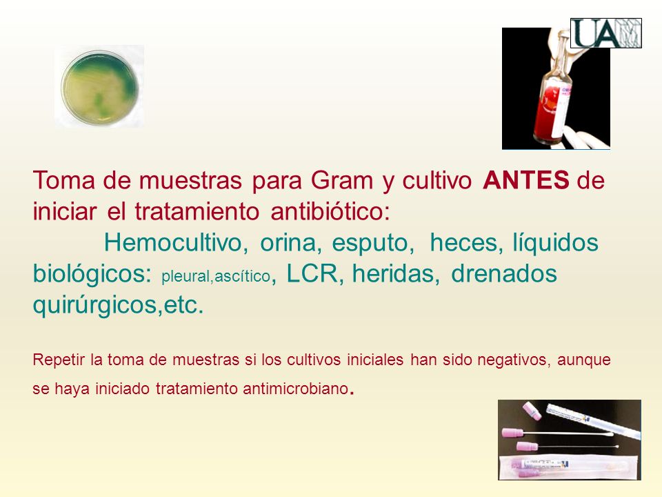 Toma de muestras para Gram y cultivo ANTES de iniciar el tratamiento antibiótico: