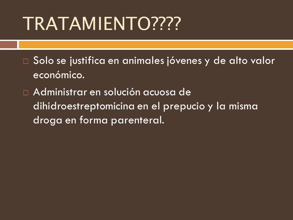 TRATAMIENTO Solo se justifica en animales jóvenes y de alto valor económico.