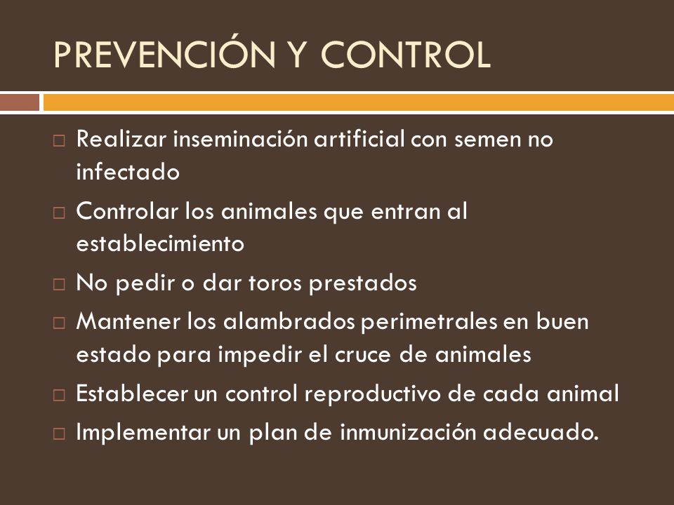 PREVENCIÓN Y CONTROL Realizar inseminación artificial con semen no infectado. Controlar los animales que entran al establecimiento.