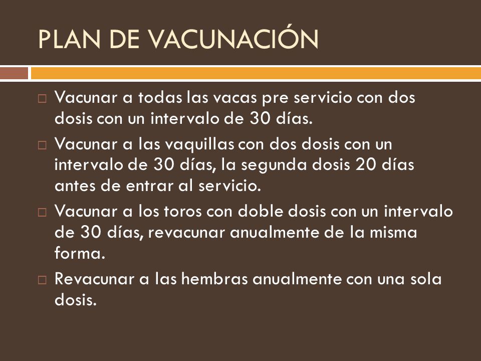 PLAN DE VACUNACIÓN Vacunar a todas las vacas pre servicio con dos dosis con un intervalo de 30 días.