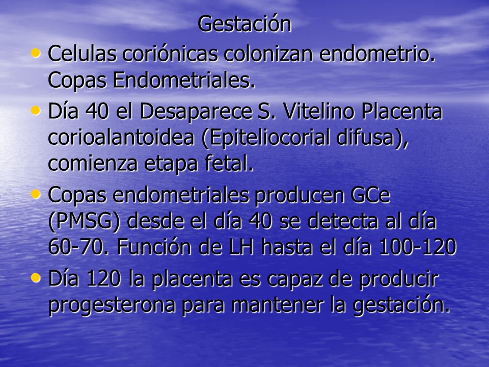 Gestación Celulas coriónicas colonizan endometrio. Copas Endometriales.