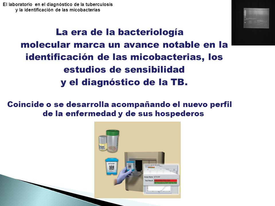 La era de la bacteriología molecular marca un avance notable en la