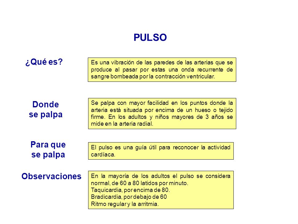 PULSO ¿Qué es Donde se palpa Para que se palpa Observaciones