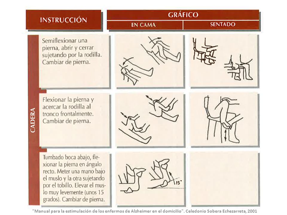 Manual para la estimulación de los enfermos de Alzheimer en el domicilio .