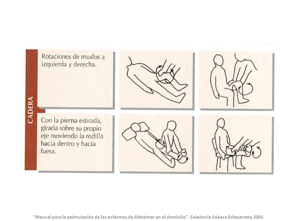 Manual para la estimulación de los enfermos de Alzheimer en el domicilio .