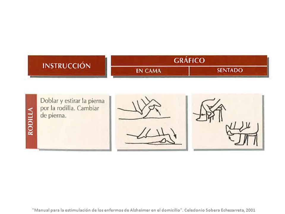 Manual para la estimulación de los enfermos de Alzheimer en el domicilio .