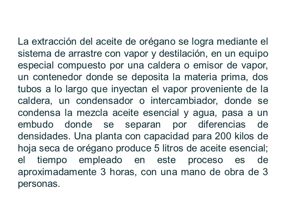 La extracción del aceite de orégano se logra mediante el sistema de arrastre con vapor y destilación, en un equipo especial compuesto por una caldera o emisor de vapor, un contenedor donde se deposita la materia prima, dos tubos a lo largo que inyectan el vapor proveniente de la caldera, un condensador o intercambiador, donde se condensa la mezcla aceite esencial y agua, pasa a un embudo donde se separan por diferencias de densidades.
